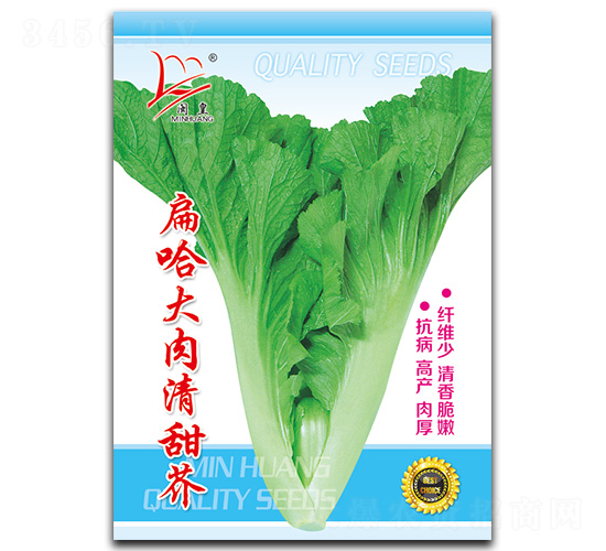 ����������-��˷N��-�}�ʷN�I(y��)