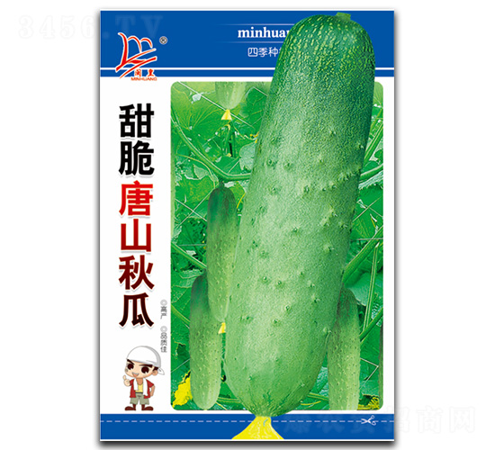 �����ɽ���-��ϷN��-�}�ʷN�I(y��)