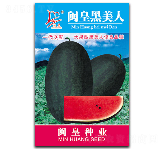 �}�ʺ�����-���ϷN��-�}�ʷN�I(y��)