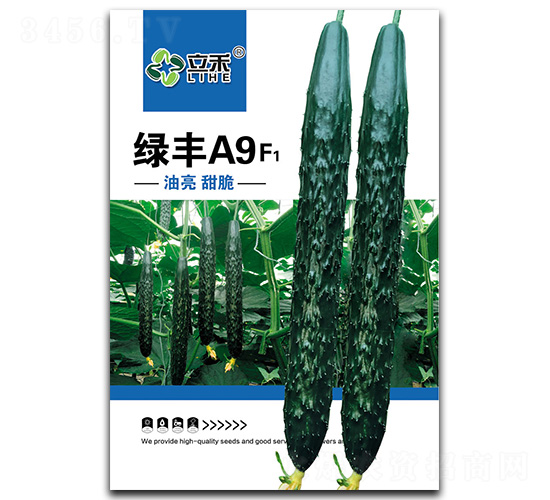 �G�SA9-�S�ϷN��-�}�ʷN�I(y��)