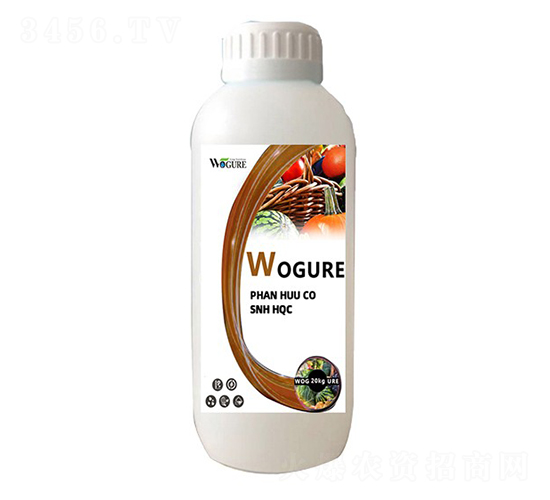 �������-�ָ���