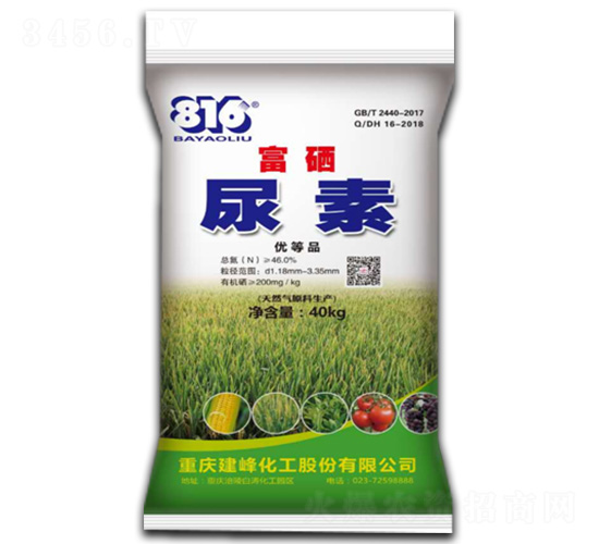 �������w����-����