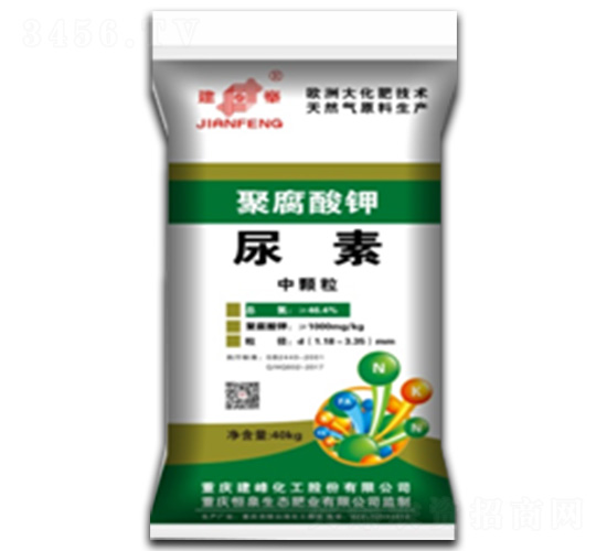 �۸����-����