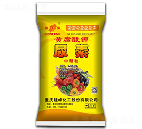 �S�����-����