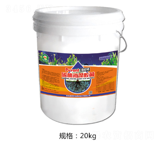 ̼ø�������-������-�W���S