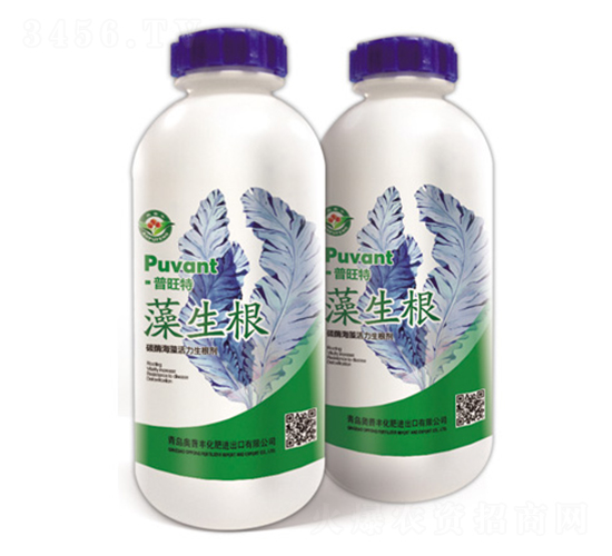 ̼ø�������������-������-������-�W���S