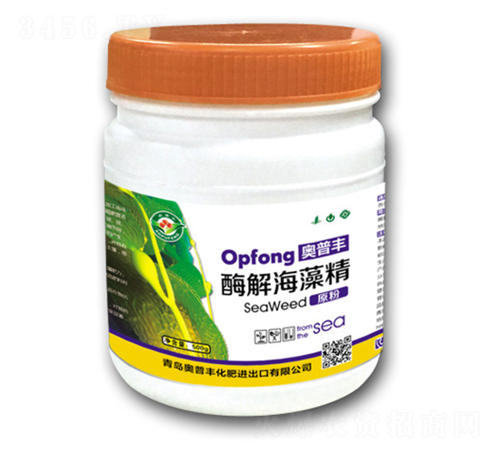 ø�⺣�徫-�W���S