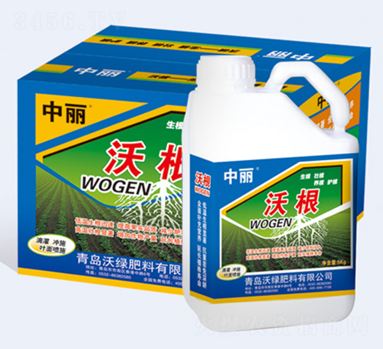 �ָ�-�־G����