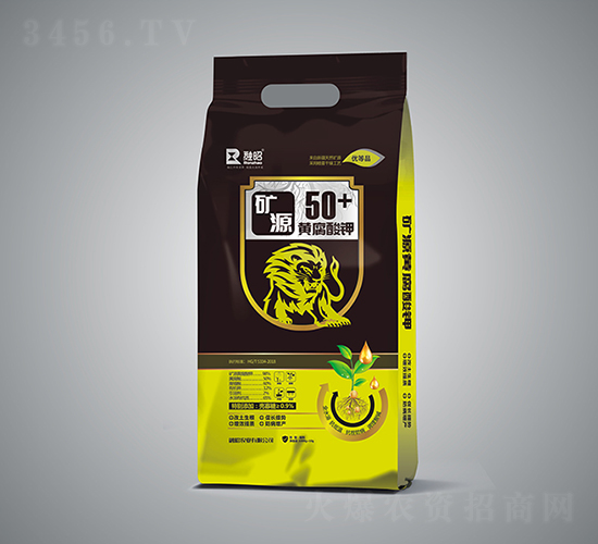 �V�|Դ�S�����-�����r�I(y��)