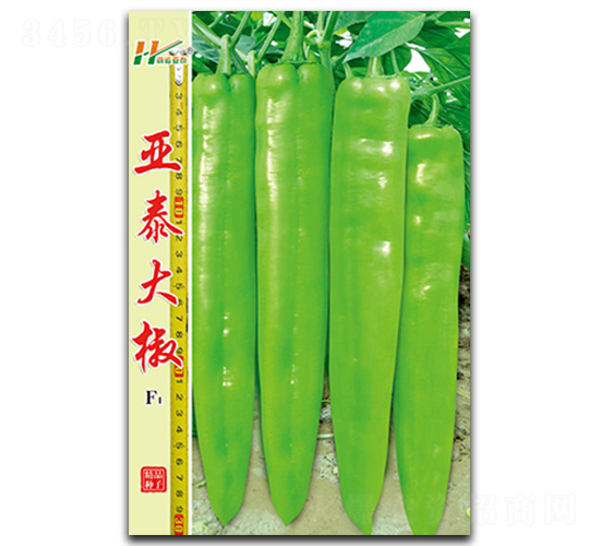 ��̩��-�����N��-��̩