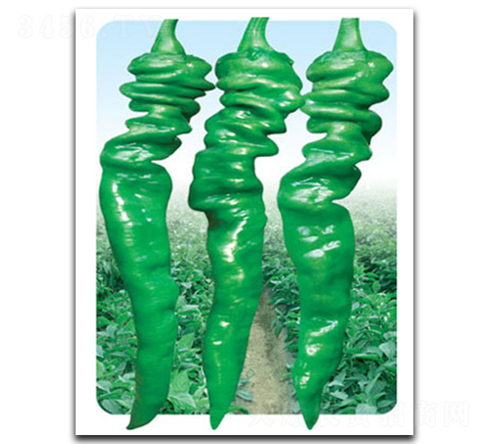 ����-�ݽz���N��-��̩