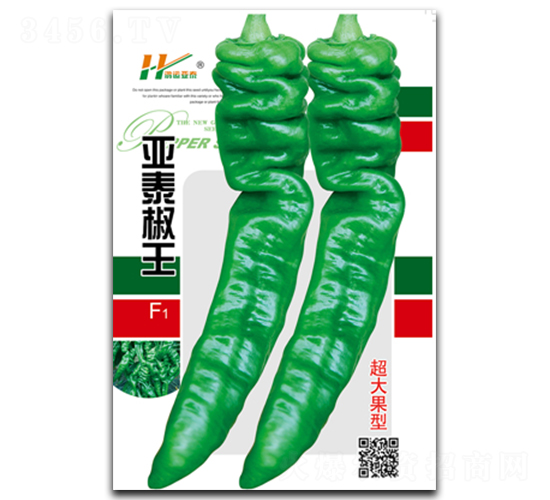 ��̩����-�ݽz���N��-��̩