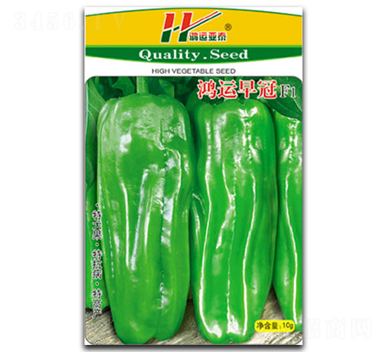 ���\(y��n)���-��Ƥ���\���N��-��̩