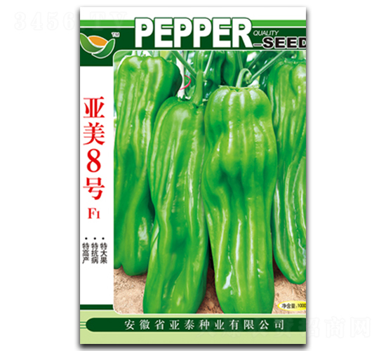 ����8̖-��Ƥ���\���N��-��̩