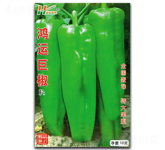 ���\�޽�-����ݽ��N��-��̩