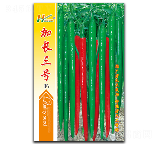 ���L��̖-�����N��-��̩