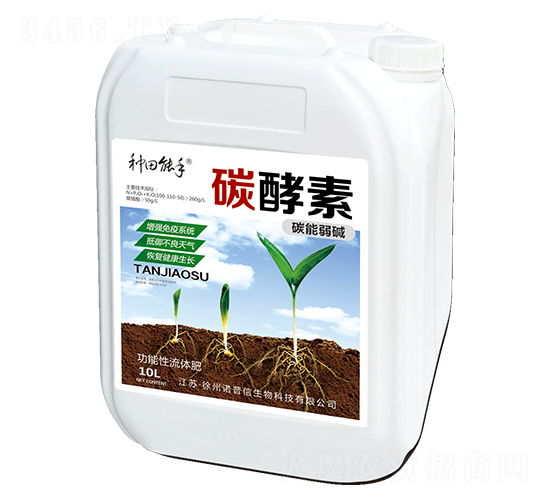 ̼����-�Z����