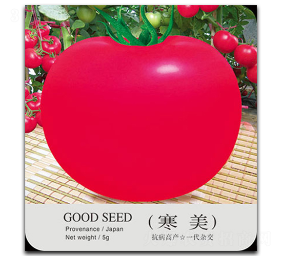 ����-���ѷN��-�ٺ̹�