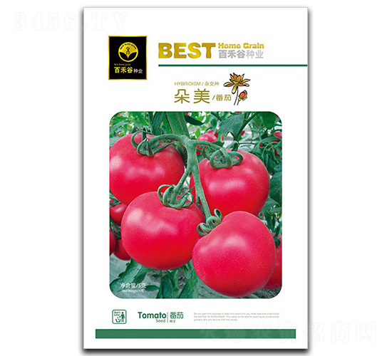 ����-���ѷN��-�ٺ̹�