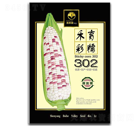 �����Ŵ302-Ŵ���׷N��-�ٺ̹�