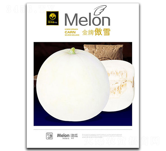 ���ư�ѩ-��ϷN��-�ٺ̹�