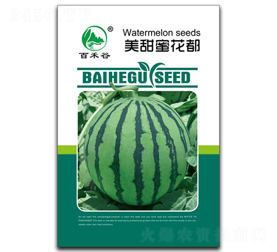 �����ۻ���-���ϷN��-�ٺ̹�