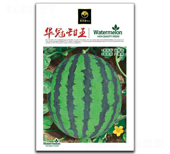 �A������-���ϷN��-�ٺ̹�