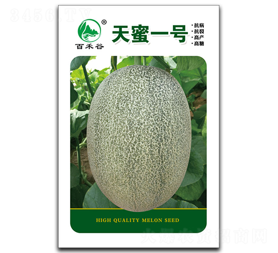 ����һ̖-��ϷN��-�ٺ̹�