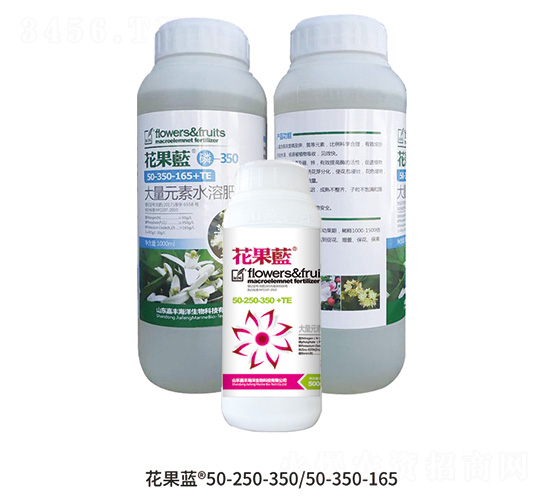 �����{�M��-���S