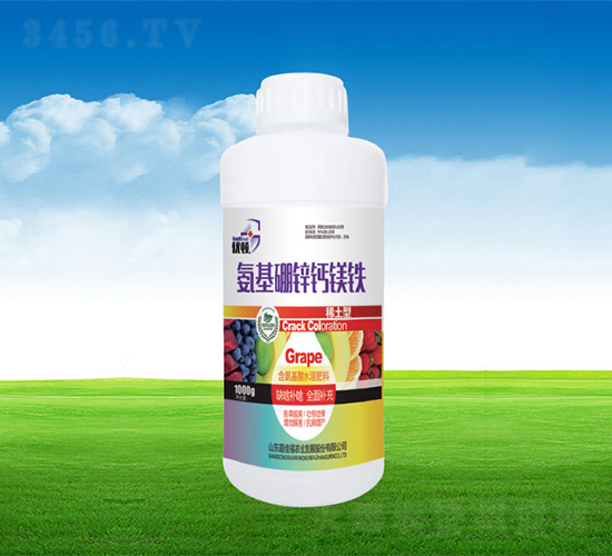 �������\�}�V�F-�μѸ�