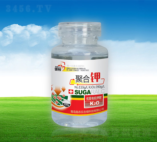 �ۺ��-�μѸ�