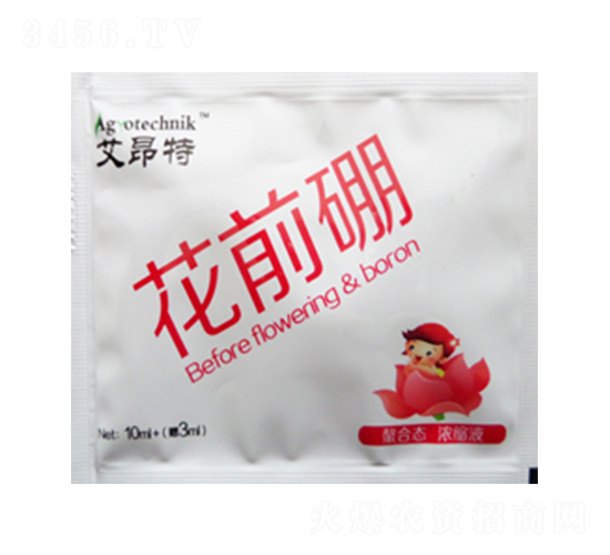 ��ǰ��-������