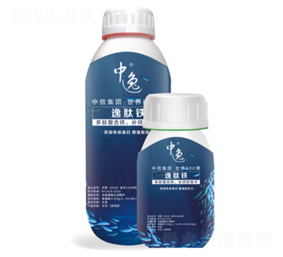 �����F-����