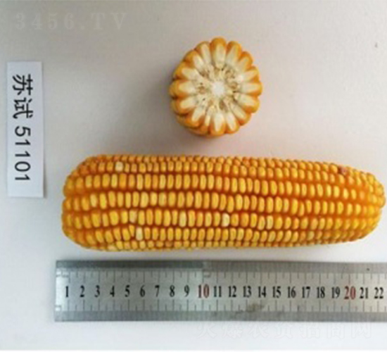 �K��41-���׷N��-����N�I(y��)