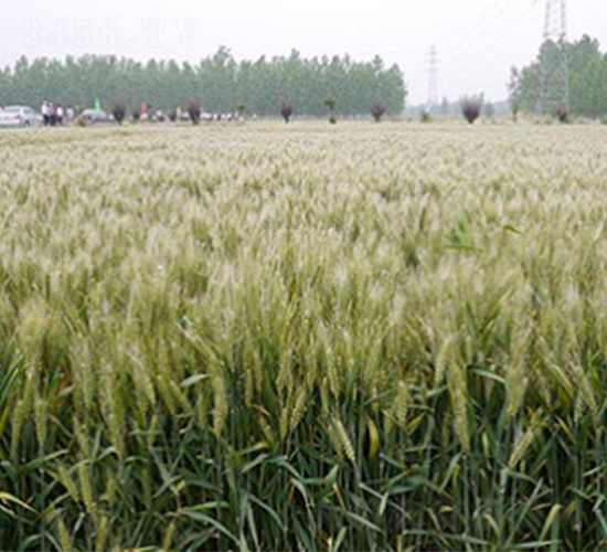 ����32-С���N��-����N�I(y��)