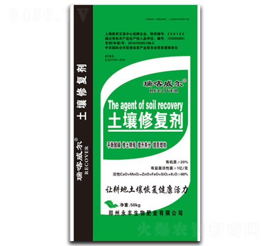 �����ޏ̈́�-������-���S����