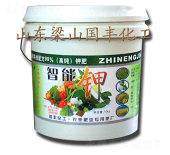 �����-���S�ʘI(y��)