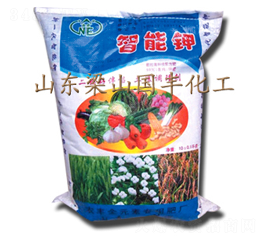 �߼��������-���S�ʘI(y��)