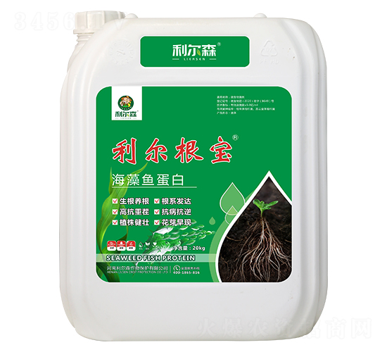 �����~����-��������-����ɭ