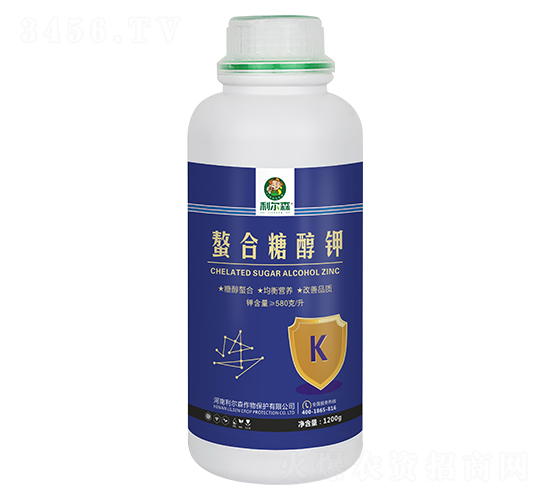 �����Ǵ��-����ɭ