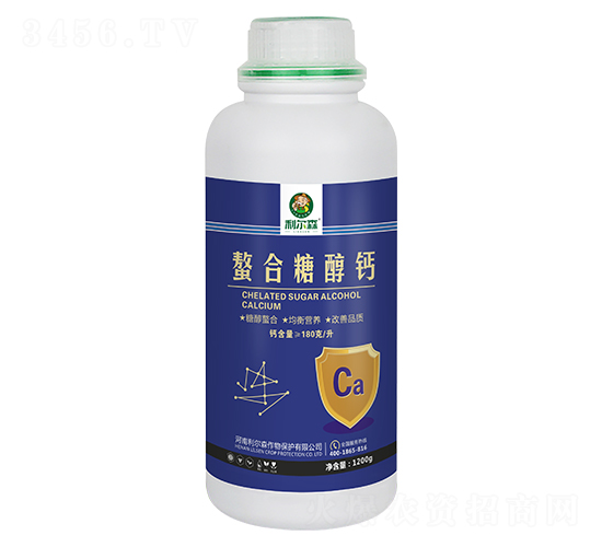 �����Ǵ��}-����ɭ