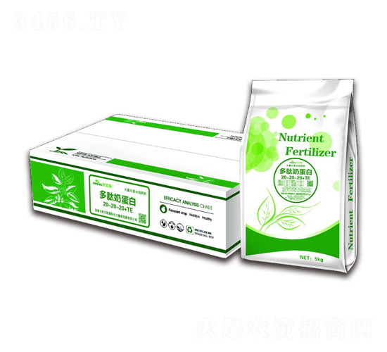 �����̵���-�W��˹