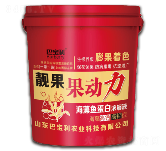 ������}������n��-������-�͌����r