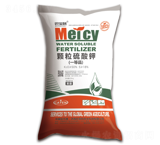 �w�������-�͌����r(n��ng)