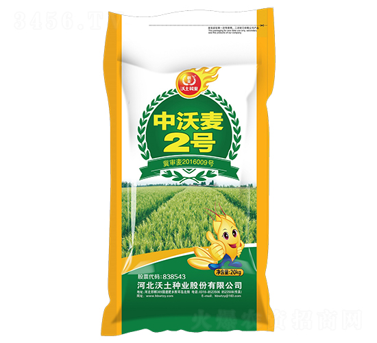 ������2̖(h��o)-С���N��-�����N�I(y��)