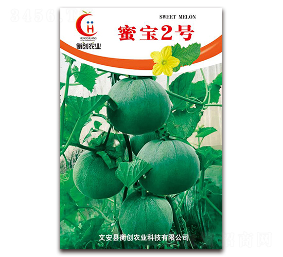 �ی�2̖(h��o)-��Ƥ��ϷN��-�ℓ(chu��ng)�r(n��ng)�I(y��)