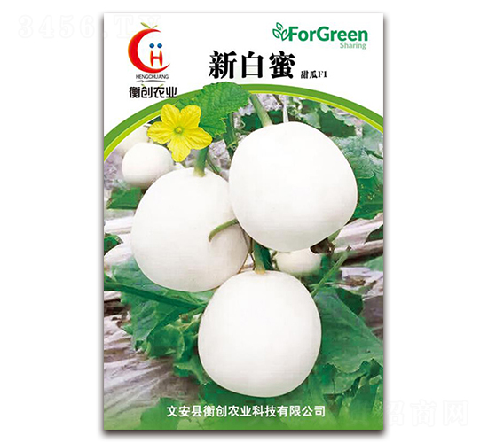 �°���-��Ƥ��ϷN��-�ℓ(chu��ng)�r(n��ng)�I(y��)