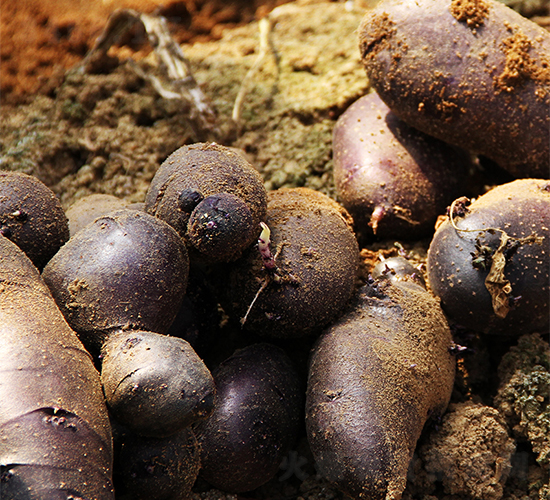 ϣɭ7̖-�����N��-ϣɭ