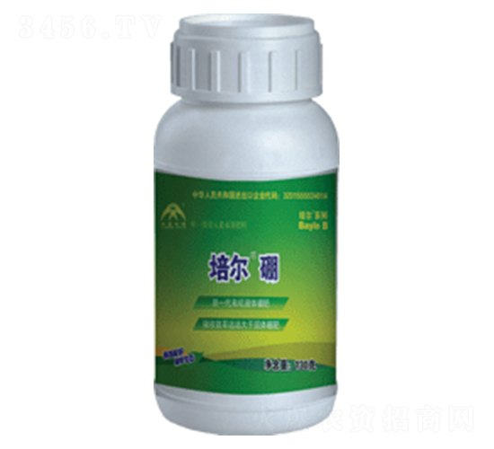 �ࠖ���w��-���r(n��ng)����