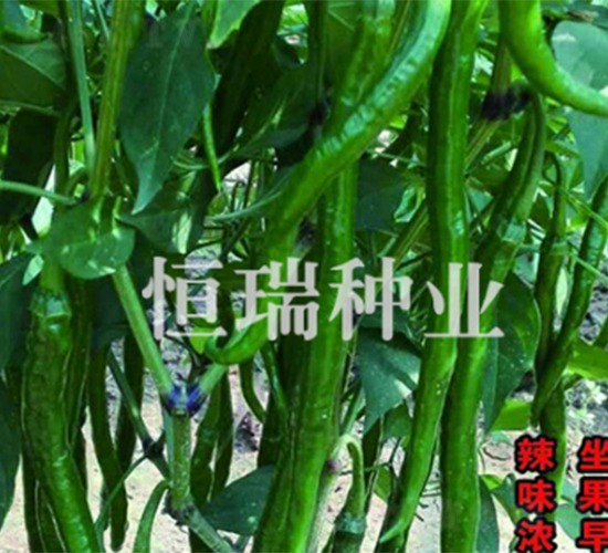 ����ھ���-�����N��-����N�I(y��)